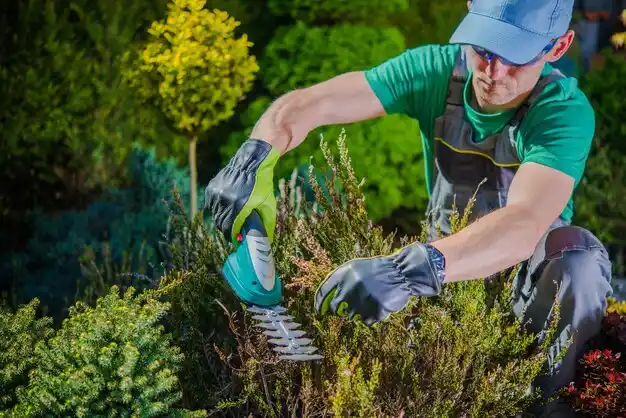landscaping services Renova